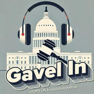 Listen to Gavel In in the App