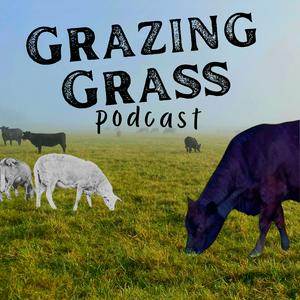 Listen to Grazing Grass Podcast : Sharing Stories of Regenerative Ag in the App