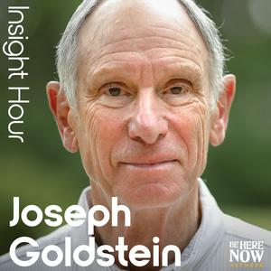 Listen to Insight Hour with Joseph Goldstein in the App