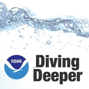 Listen to NOAA: Diving Deeper in the App