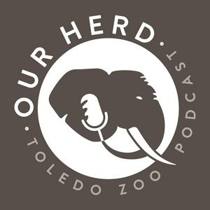 Listen to Our Herd: Toledo Zoo Podcast in the App