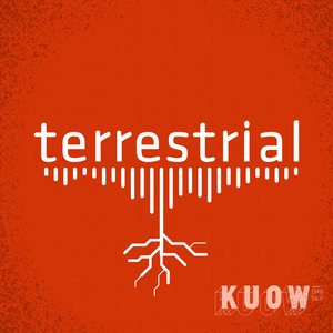 Listen to terrestrial in the App