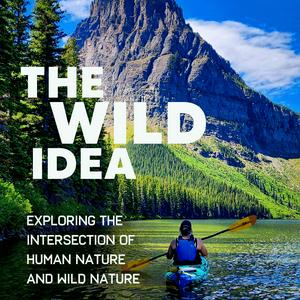 Listen to The Wild Idea in the App