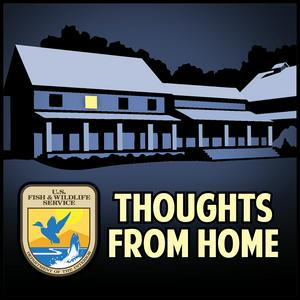 Listen to USFWS/NCTC Thoughts From Home: Your Conservation Podcast from the National Conservation Training Center in the App