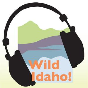 Listen to Wild Idaho! Podcast in the App