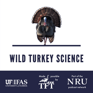 Listen to Wild Turkey Science in the App