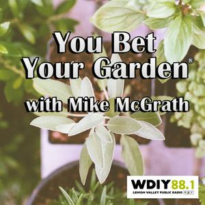 Listen to You Bet Your Garden in the App