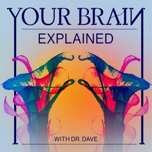 Listen to Your Brain Explained in the App